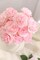 12 PCS Artificial Silk Pink Peonies with Stems – 8-Inch Faux Peony Bouquet for Wedding, Home Decor, Office Table & Festival Gifts